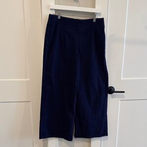 SPANX Dark Blue Cropped Pants